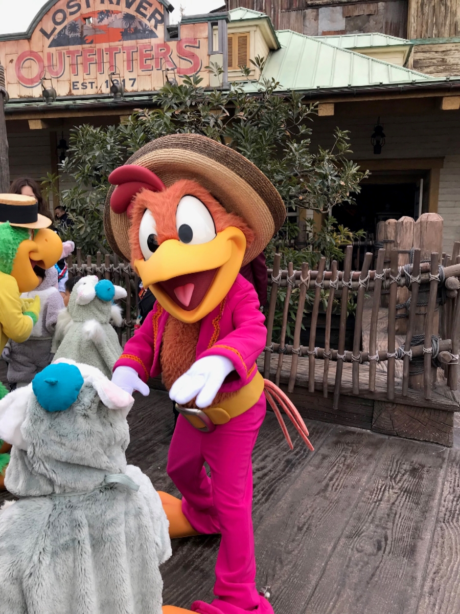 東京ディズニーリゾート ディズニーの仲間と触れ合えるどきどきワクワク グリーティング