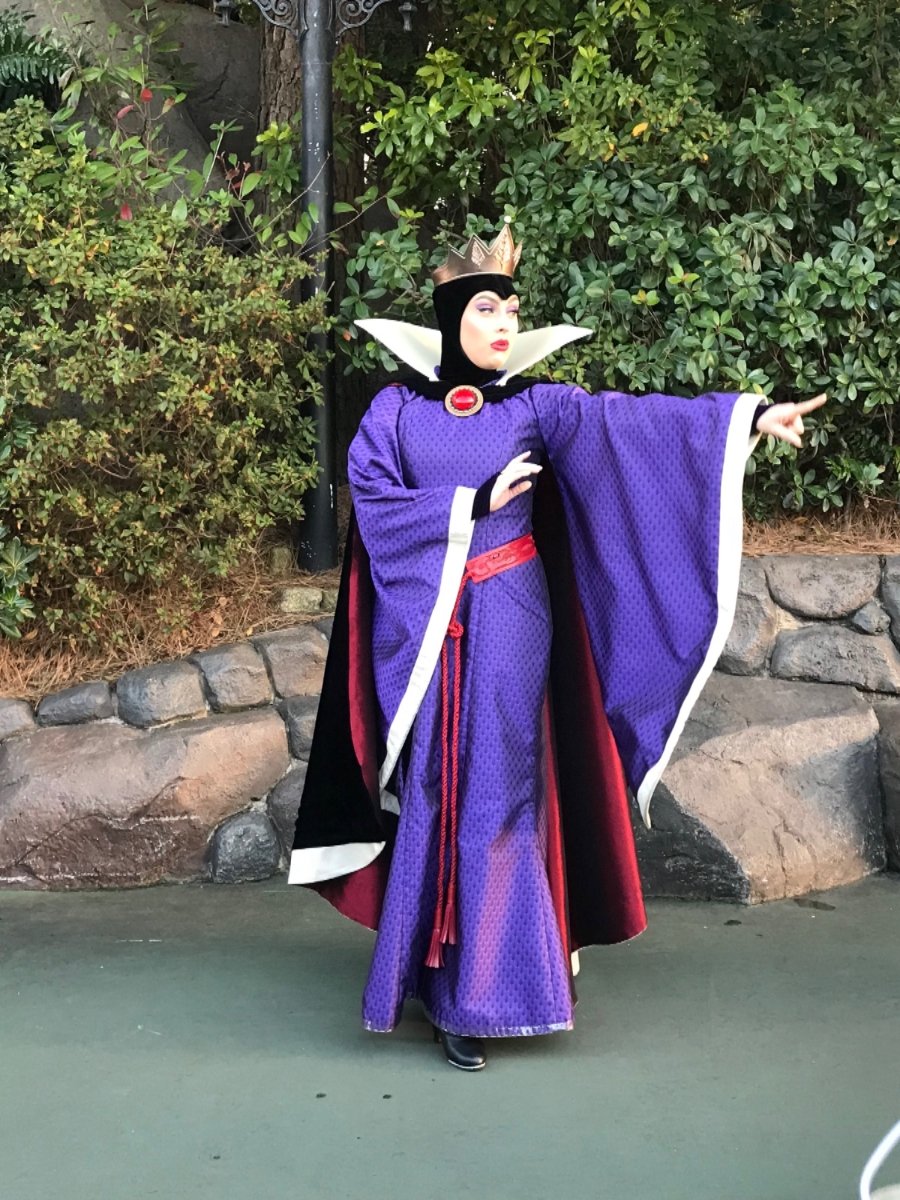 東京ディズニーリゾート ディズニーの仲間と触れ合えるどきどきワクワク グリーティング