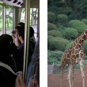 【2/24限定】東京都の動物園や水族館などに無料で入れるって知ってた！？