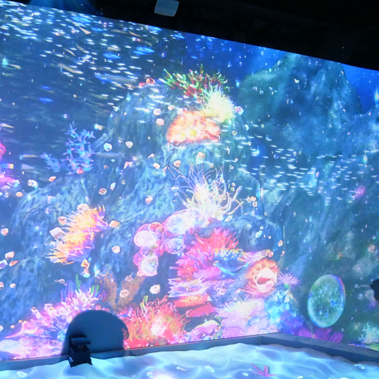  横浜アソビルで開催中！体験型デジタルアート「オーシャン バイ ネイキッド 光の深海展」に行ってみた！ 