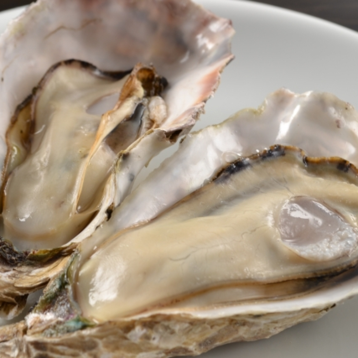  【期間限定】6種類の広島産”生牡蠣”が楽しめる「オイスターバー in TAU」が開催！食べ比べてみた 