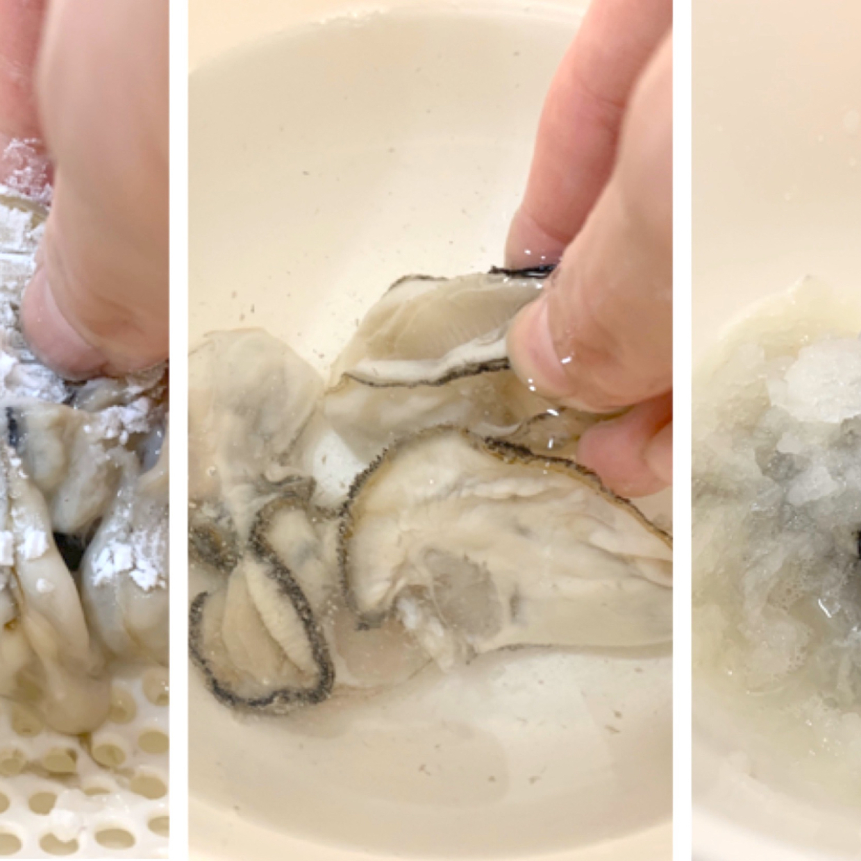  【料理の裏ワザ】「牡蠣」を上手に洗う3つの方法を試してみた！意外なものが大活躍！ 