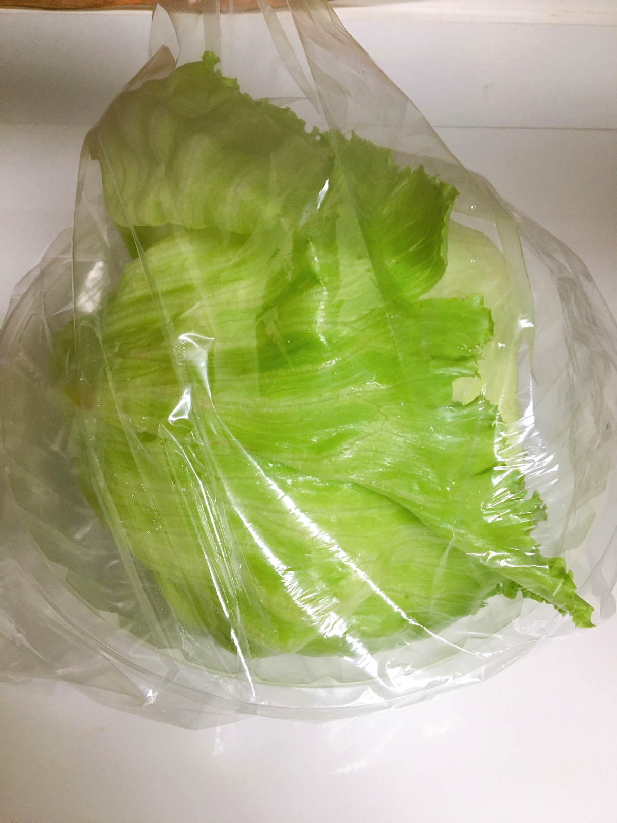 ダイソー の保存袋3選 野菜をまとめ買いしたときの必需品とは