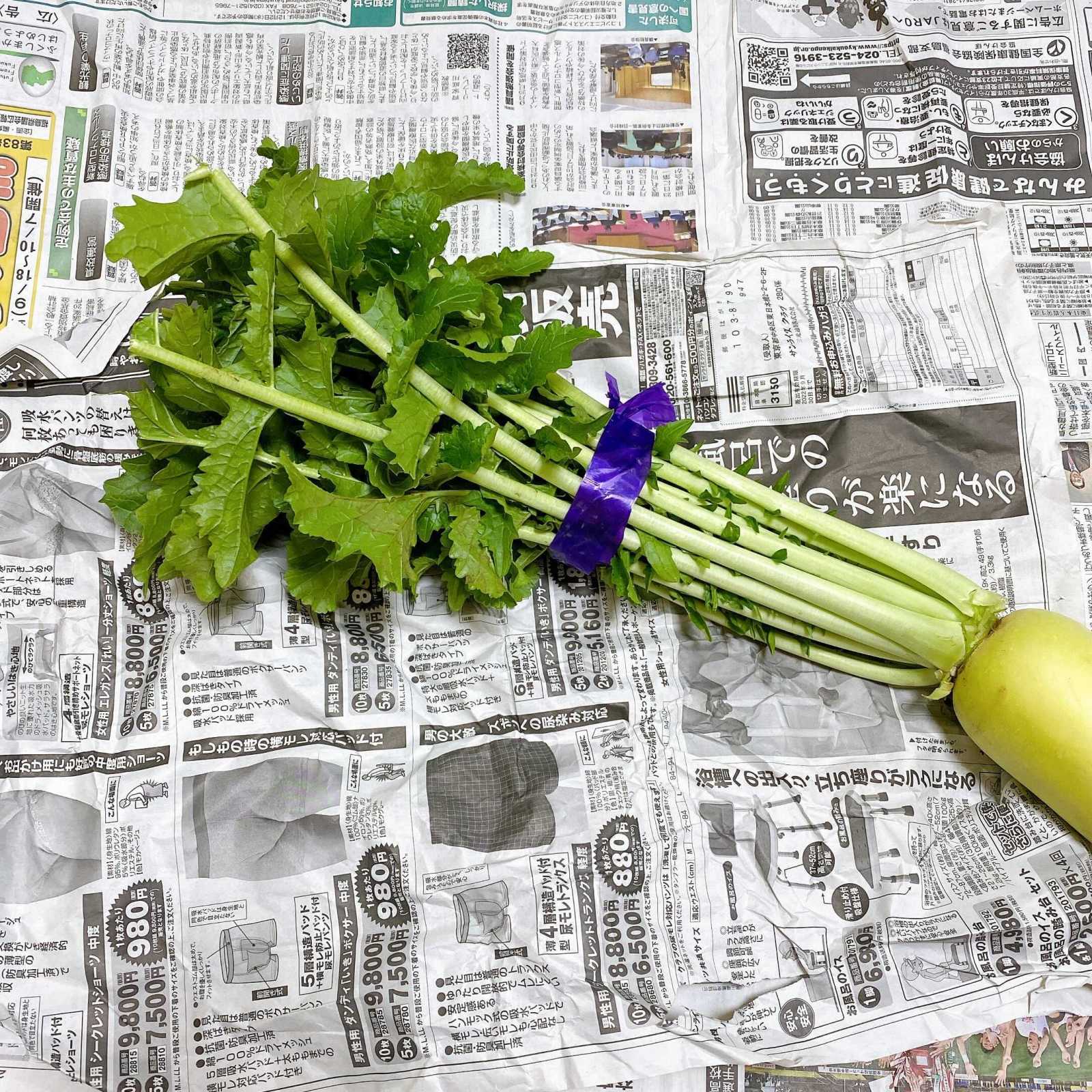 おいしい大根の見分け方と保存方法！鮮度の見極めは大根の表面＃野菜ソムリエいけごまの知恵袋