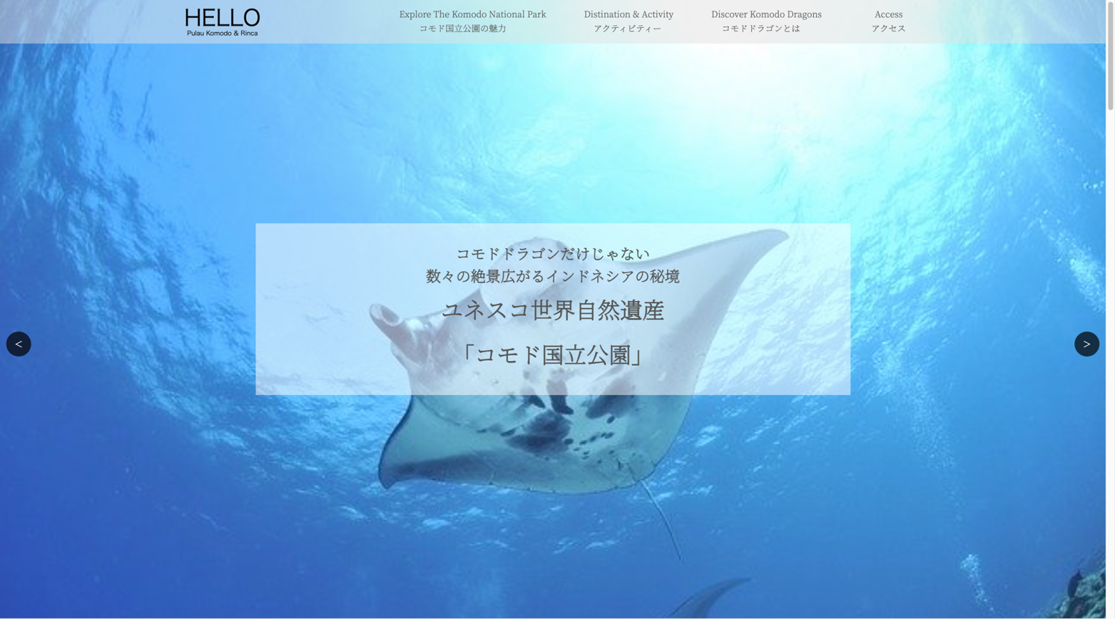 岡田さんが作ったウェブサイト