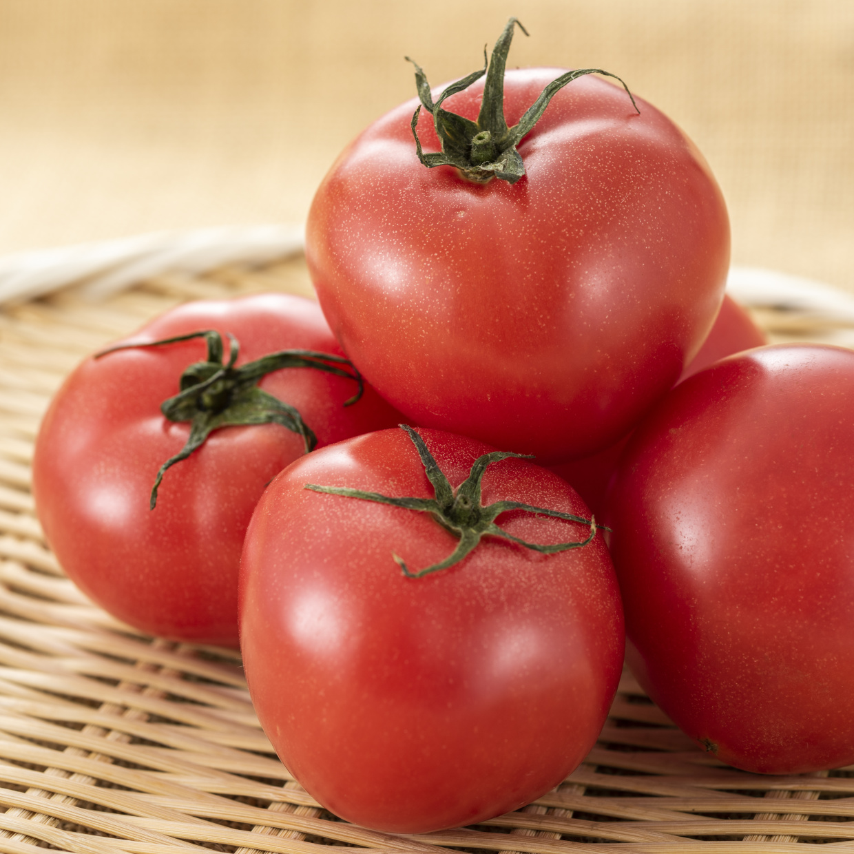  誰でもおいしくなる“トマト”のレシピ 