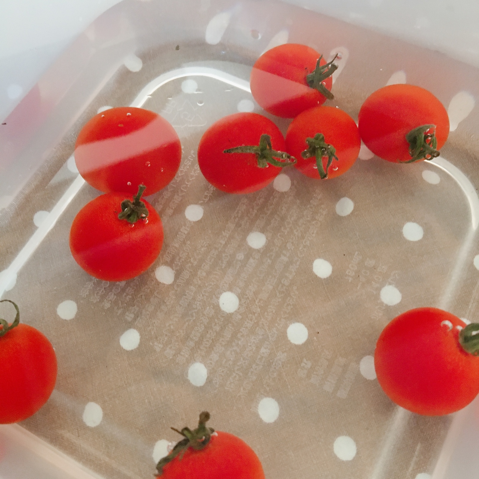 しわしわのミニトマトが復活する方法