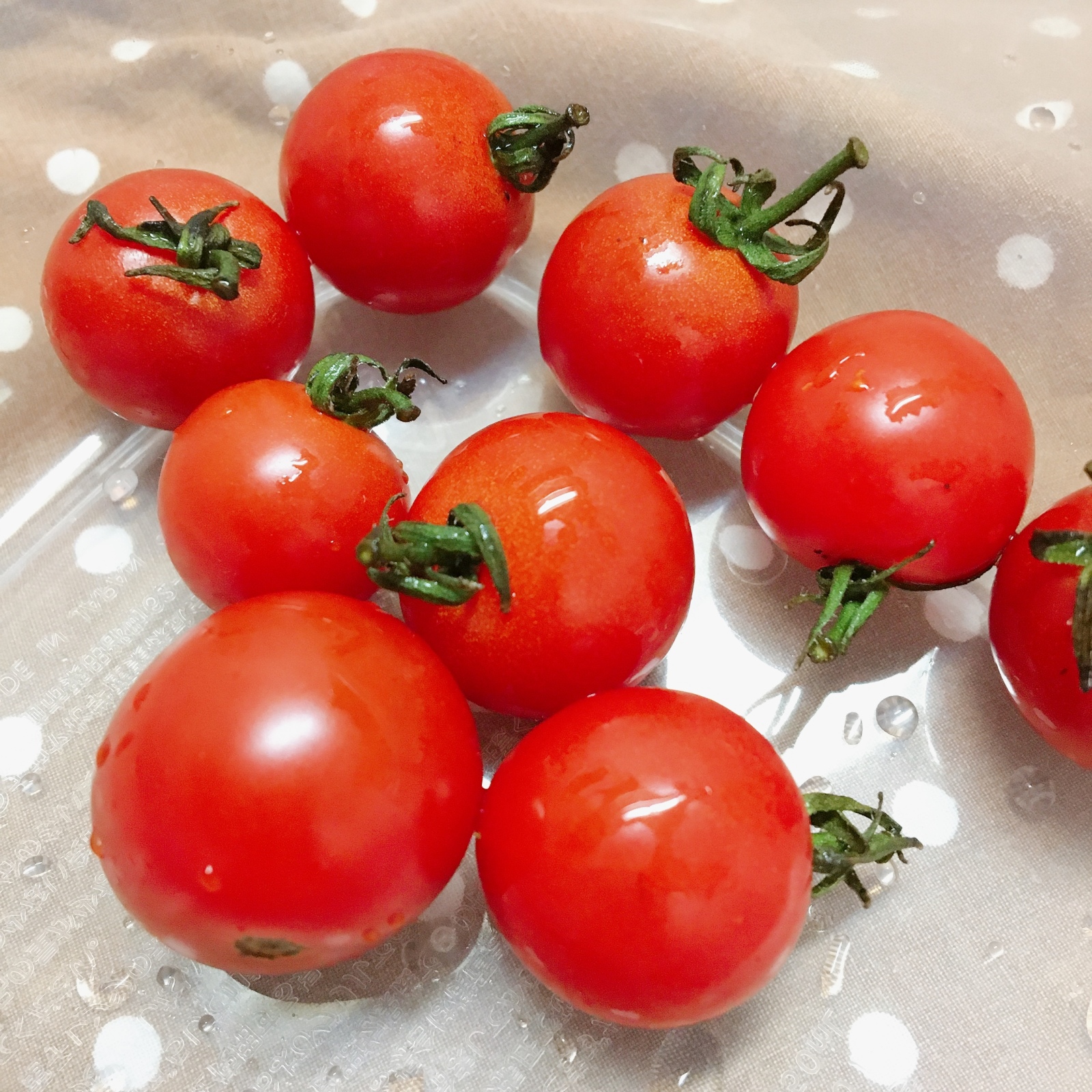しわしわのミニトマトが復活する方法