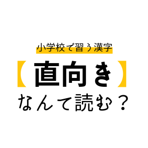 読めそうで読めない……！「直向き」なんてよむ？＃読めそうで読めない漢字