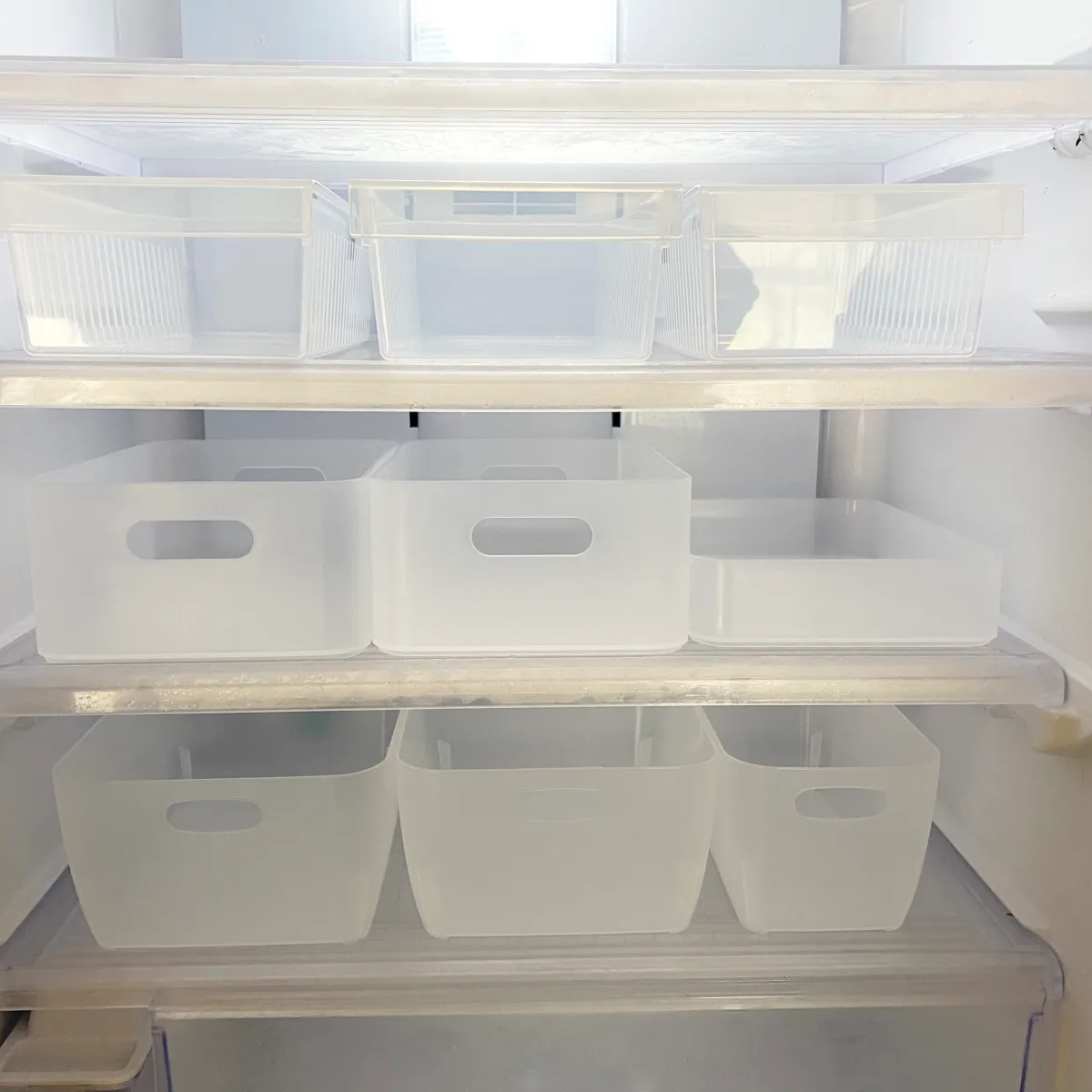 Daiso Seria Candoの 冷蔵庫内収納につかえるボックス サイズと使い勝手を徹底比較