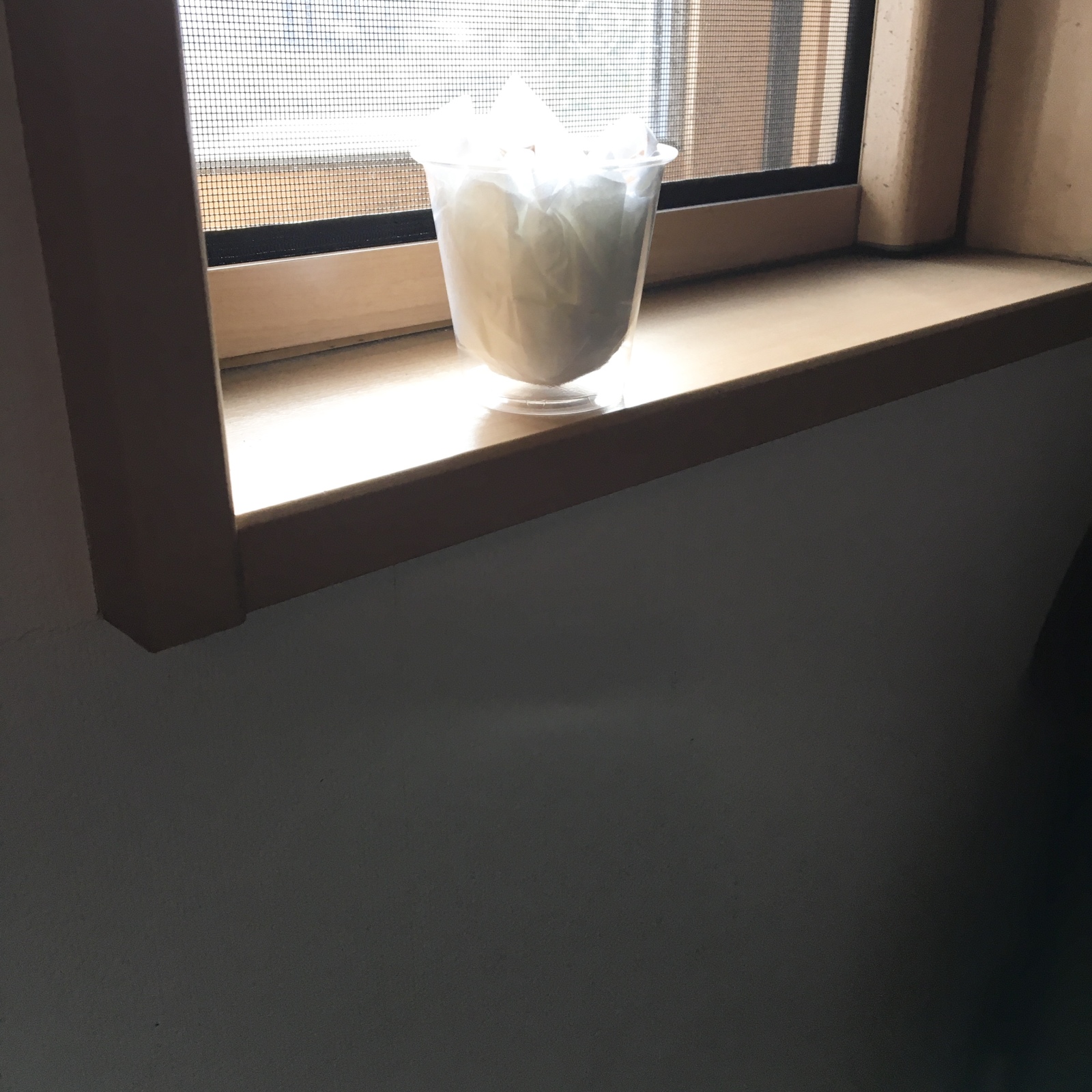 窓際でかわかすプラスチックカップ