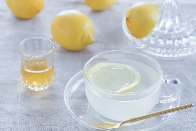 レモン ハチミツ お湯の3つを混ぜるだけ 寝る前に体がポカポカあたたまる ホットレモネード