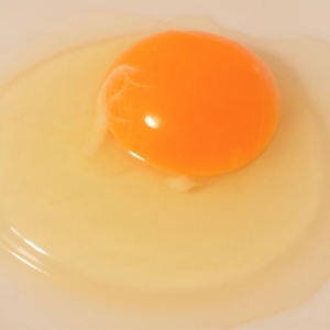 特別な道具は必要ない。いつも使っているモノであっという間に卵の「黄身と白身」をわける方法