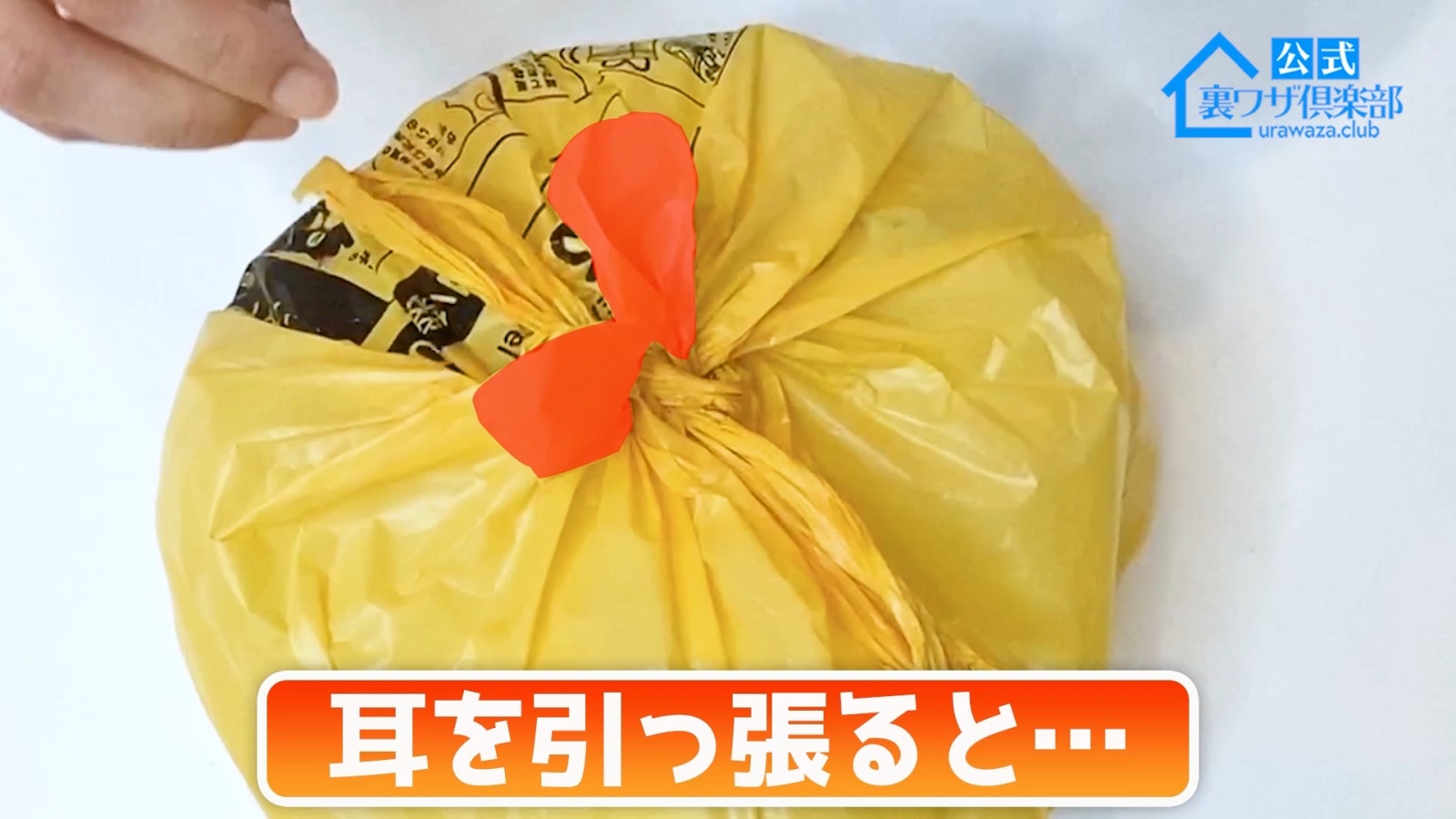 袋縛りってどうやってやるの？ _ ゴミ袋 結び方 取っ手あり – MSUOIB