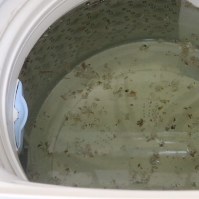  洗濯槽裏の「見えないカビ汚れ」をごっそり落とす！“かんたん漬け置き掃除術” 