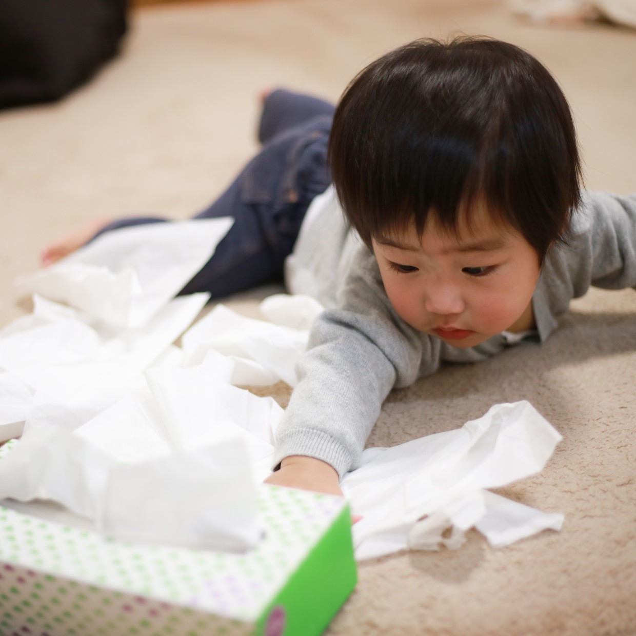  また部屋を散らかして……。“子どものいたずら”の背景にあるのは「予測」と「期待」だった。 