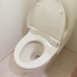 トイレットペーパーで拭くのはNG。温水洗浄便座の“正しい掃除法”とは　#家電マメ知識20