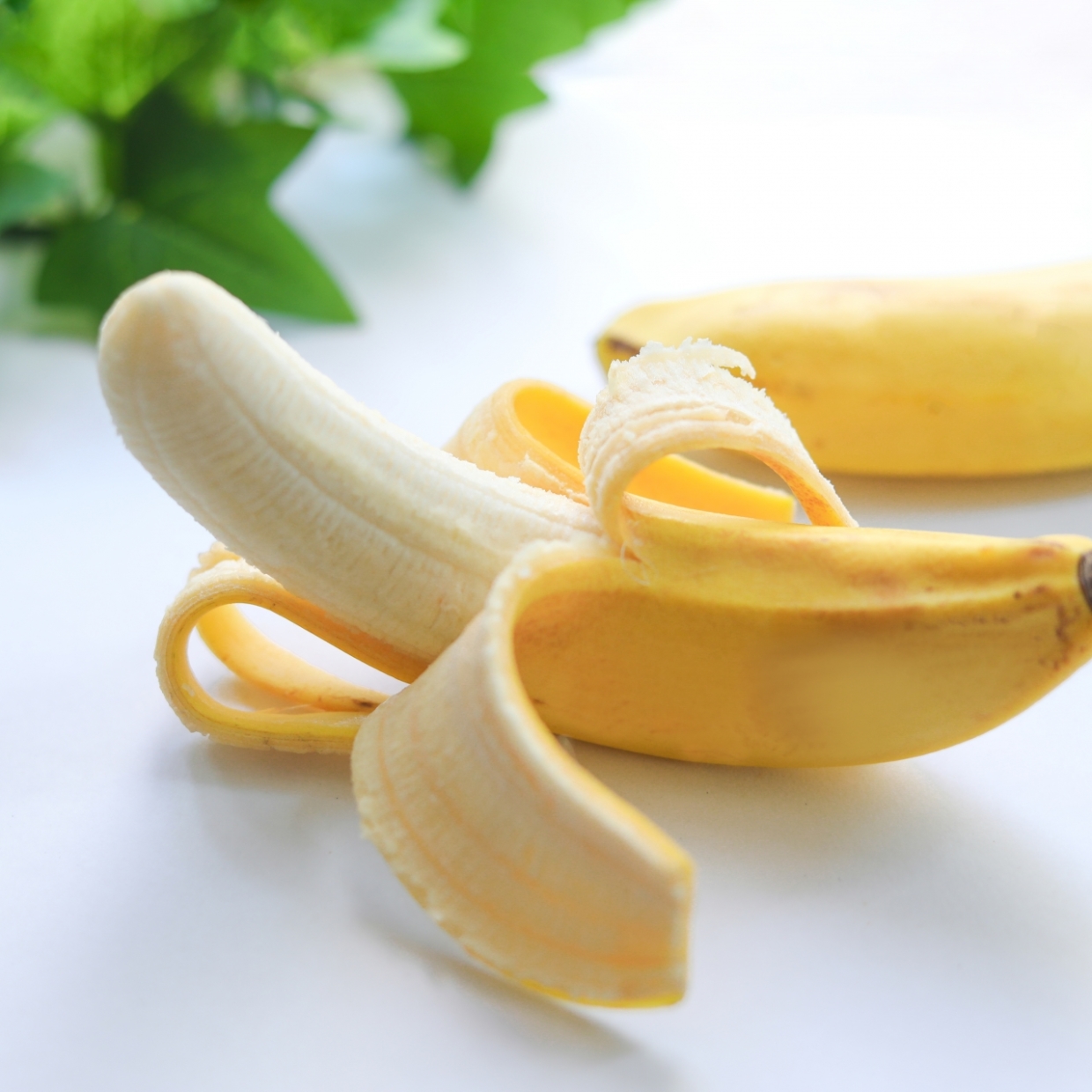  バナナは“青め”を選ぶのが正解だった。腸を整えるなら「両端が緑色のバナナ」がいい理由 