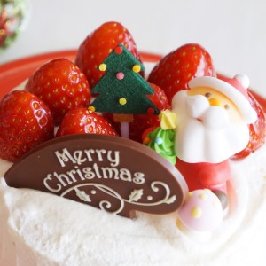 カナダではクリスマスケーキは食べない……!?カナダと日本の“クリスマスの違い”を聞いてみた！