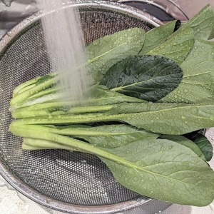 「小松菜を野菜室にいれる」はNGだった…！小松菜を1か月長期保存するテクニック