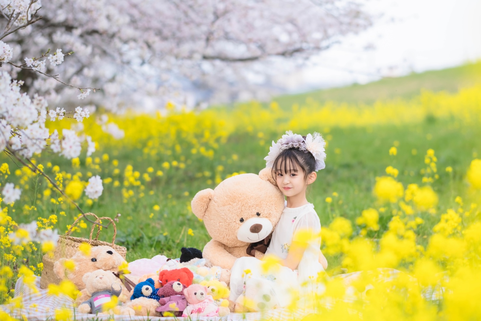桜と菜の花に囲まれた娘さんの写真