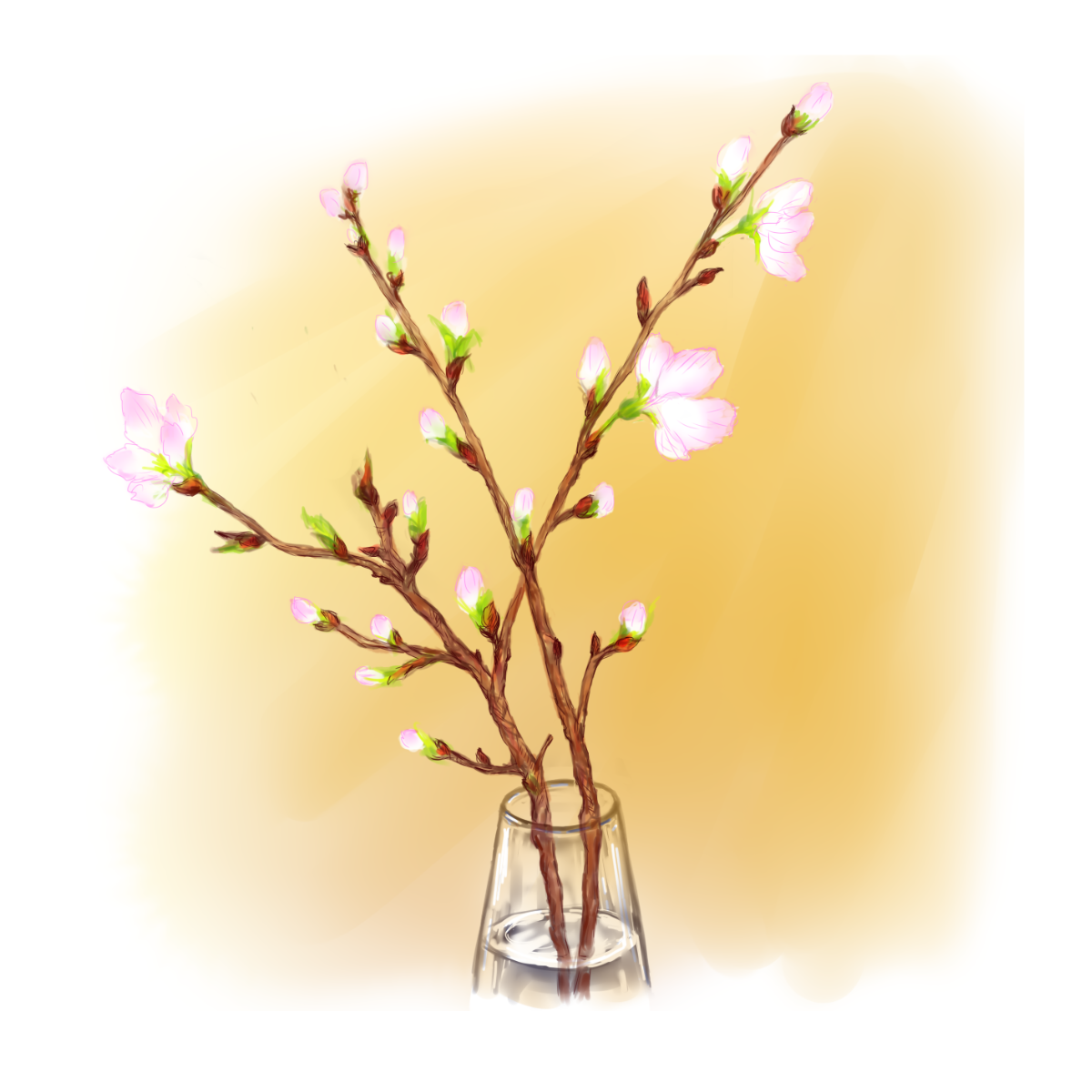 ガラス瓶に生けた桜の枝２本。まだほとんどが蕾で、いくつかの花が開いています。