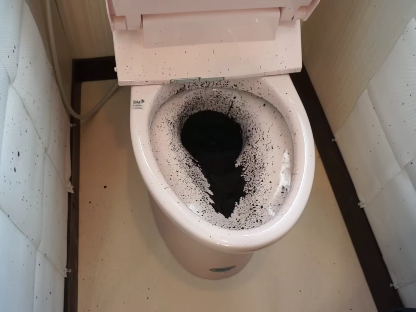 汚れたトイレ