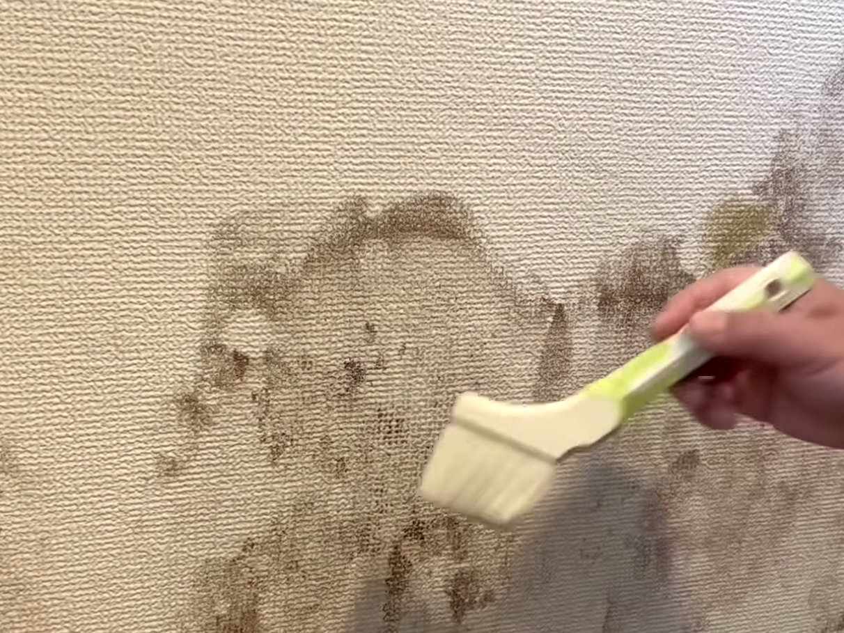 ハケで液剤を壁に塗る男性