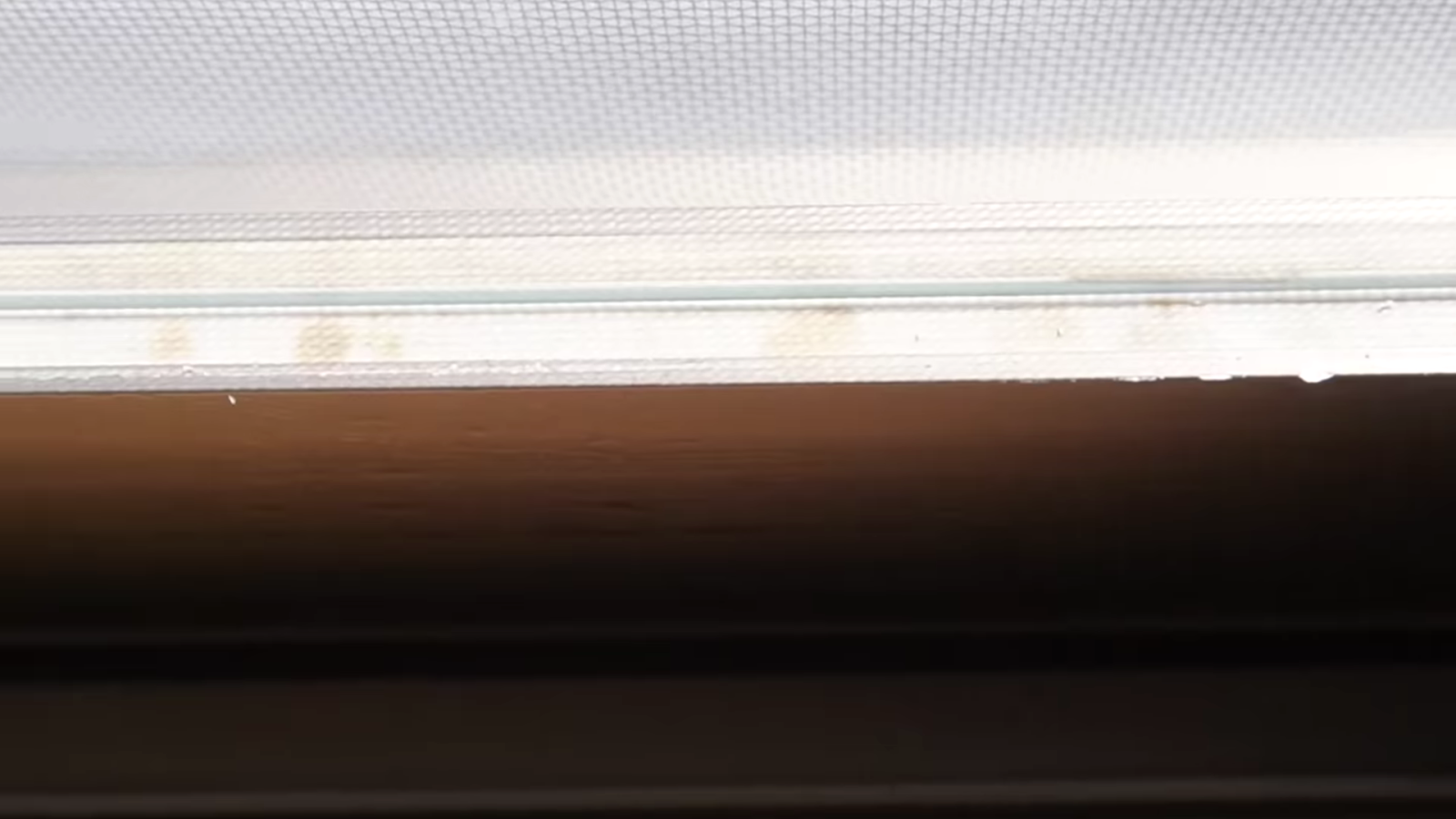 掃除をした窓のゴムパッキン