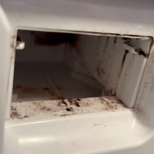 洗濯機の「柔軟剤の入り口」にビッシリついた“カビ汚れ”をきれいに落とす掃除術