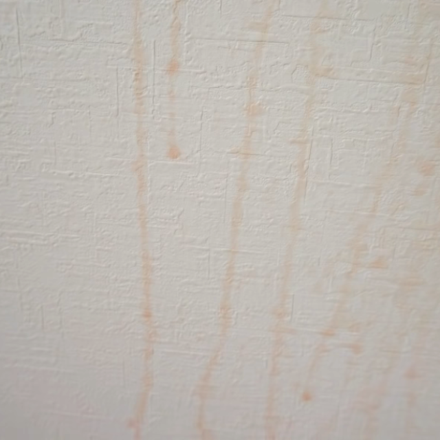  キッチンの「壁」に染み込んだ“頑固なシミ”をごっそり落とす掃除術 