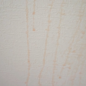 キッチンの「壁」に染み込んだ“頑固なシミ”をごっそり落とす掃除術
