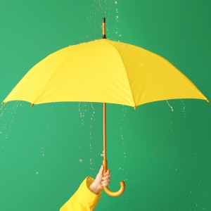 傘の“撥水機能”が復活するカンタンな方法。「傘に水がしみる…」がなくなる！