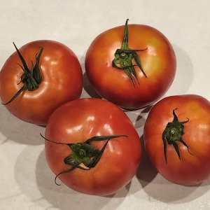 「トマト」は冷蔵庫に入れるとリコピンが大幅に減るって知ってた？“トマトのおいしい保存法”