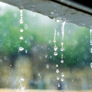 雨の日、傘をささずにびしょ濡れでも平気！日本と全然違う「カナダの雨×傘事情」