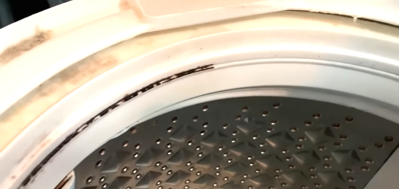 洗濯機の中に付いた水垢を掃除する男性