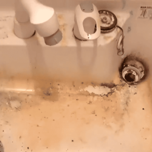 「洗面台」についた“頑固なカビや水垢汚れ”が落ちる「3つの掃除道具」とは