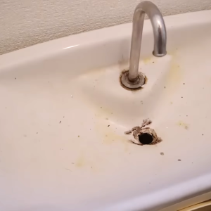 「トイレの手洗い場」にこびりついた“カビ・水垢”が確実に取れる！カンタン掃除術