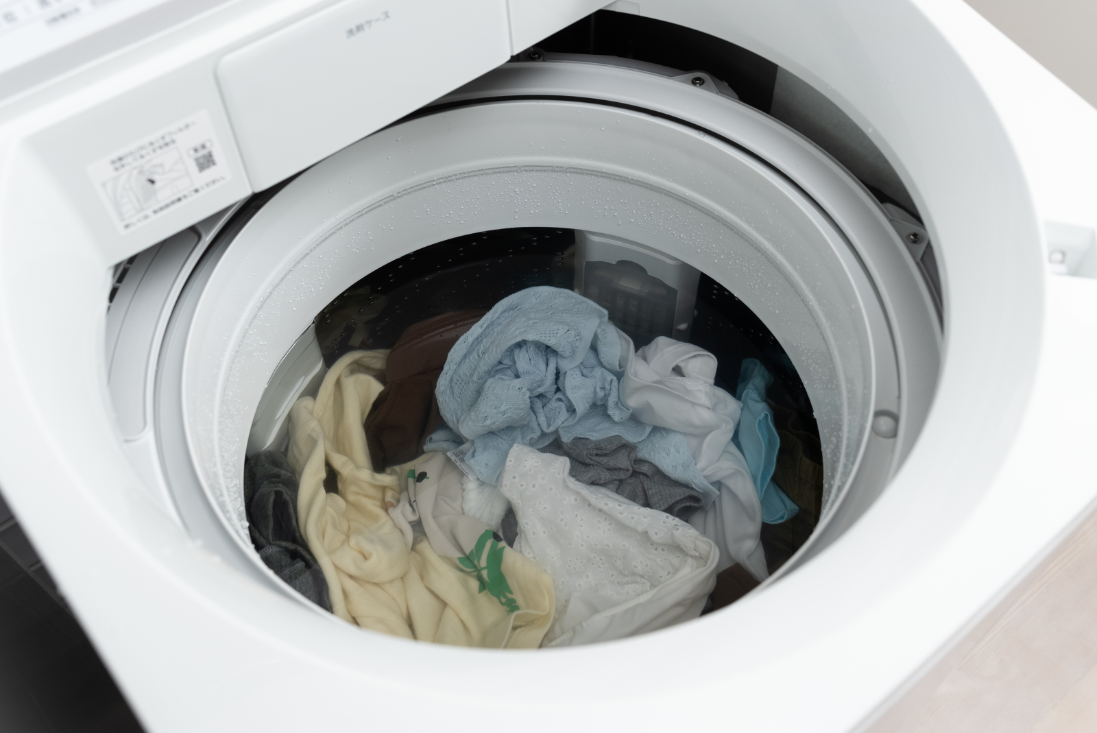 洗った洗濯物を放置すると、衣類にも洗濯槽にも雑菌が繁殖します