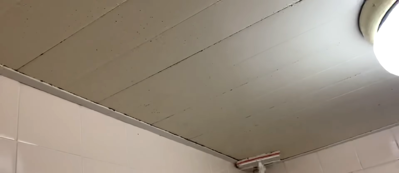 天井にモップを使って塩素系洗剤を塗り込む男性