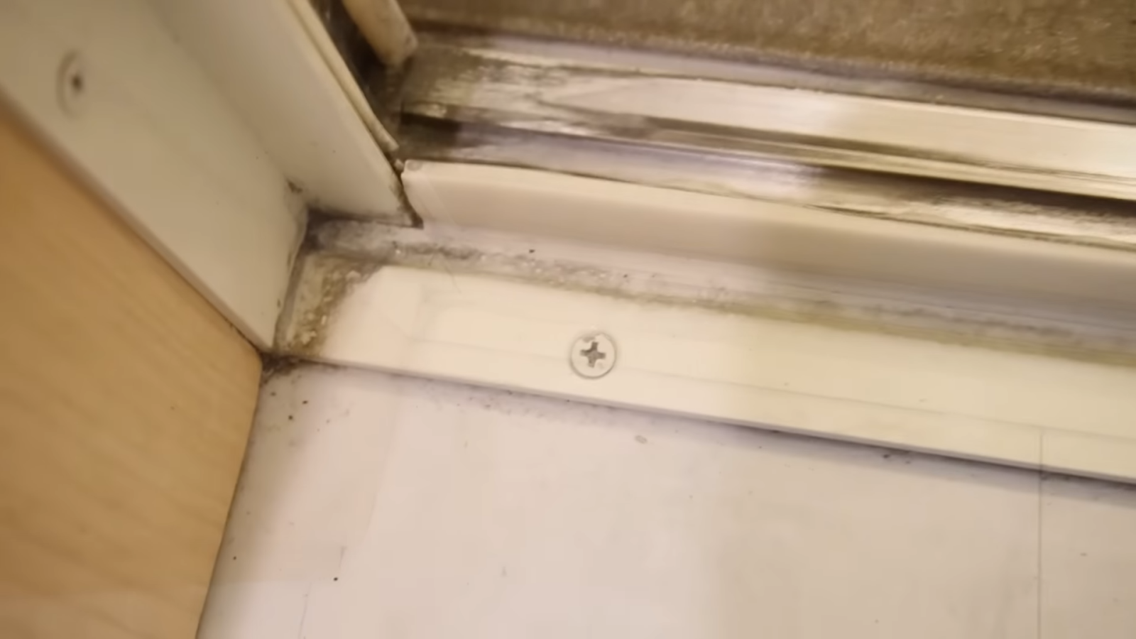 カビ汚れがついた浴室入り口のゴムパッキン
