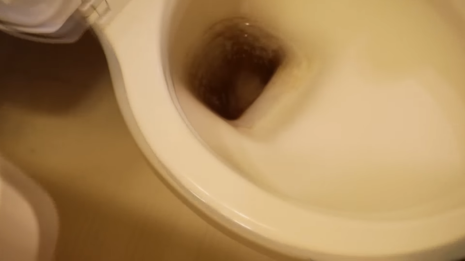 トイレに溜まった尿石