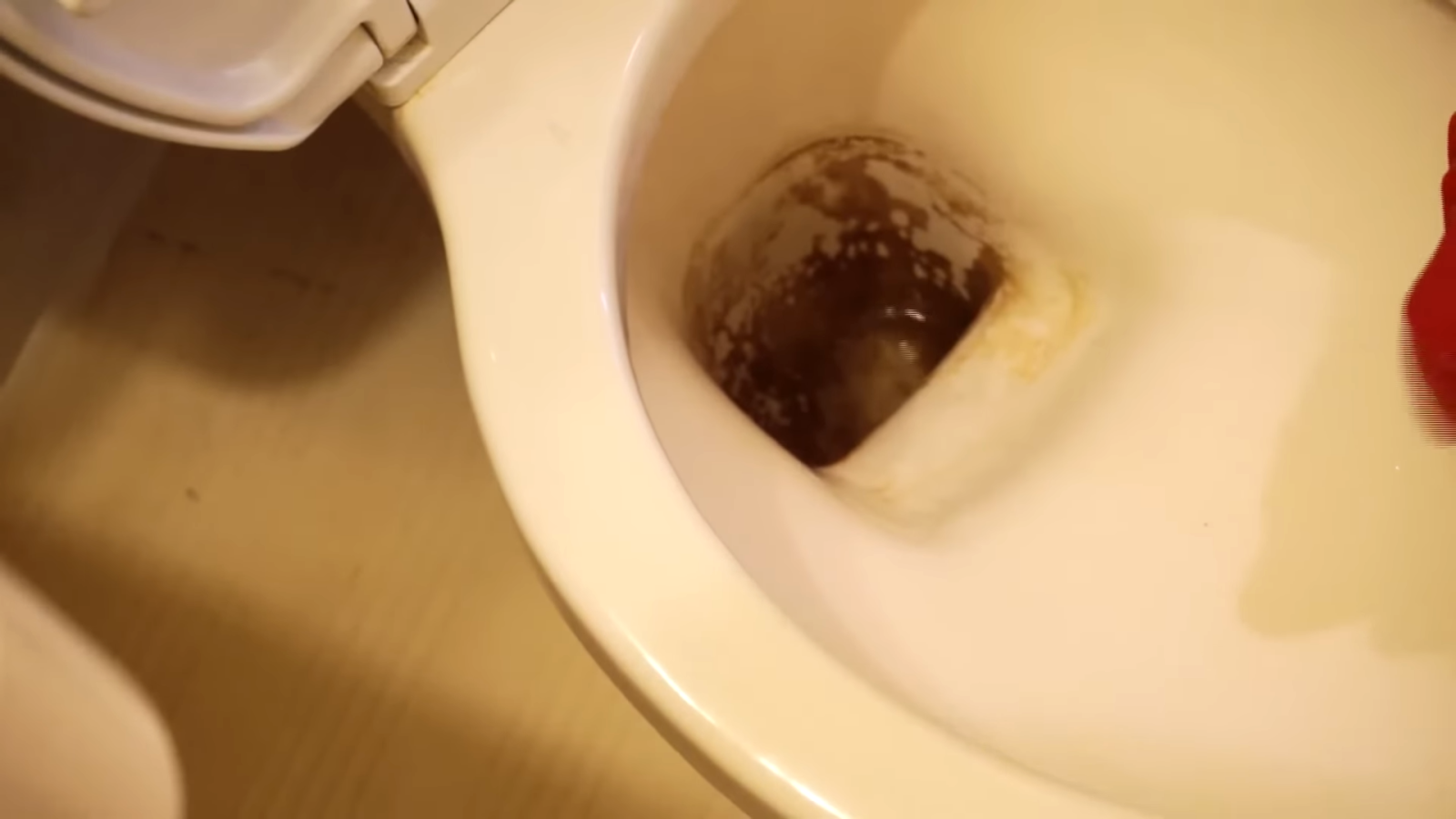 トイレの底に溜まった水を流す男性