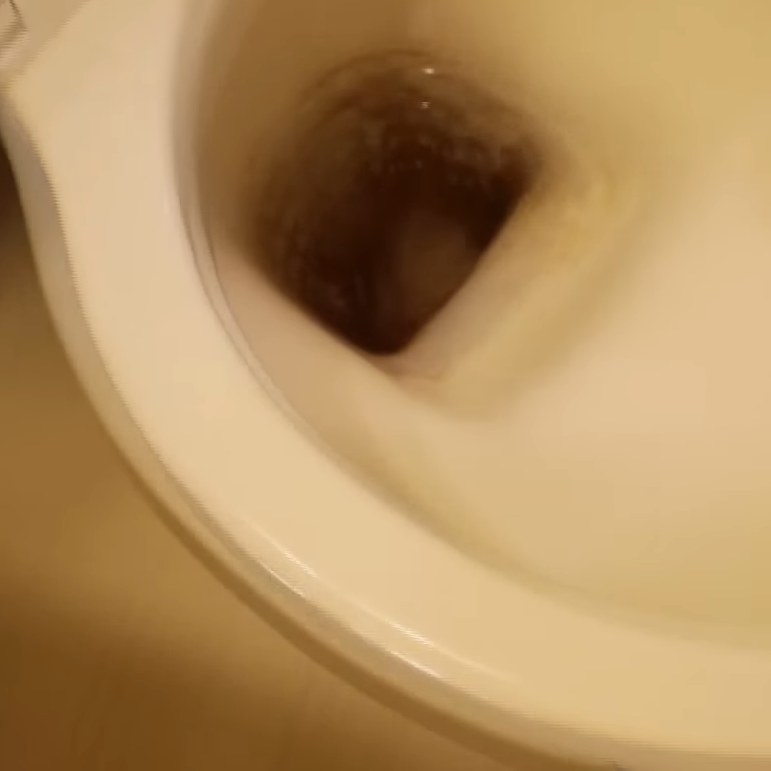  「トイレの底」の“頑固な黒ずみ”をごっそり落とす方法【知って得する掃除術】 