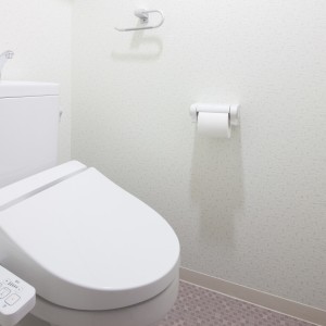 「トイレの壁」の見えない“尿はね・水はね・手あか汚れ”を落とす方法【知って得する掃除術】