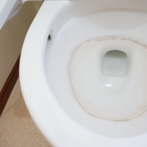 トイレの「便器内の黒ずみや尿はね汚れ」をこすらず落とす“正しい洗剤の選びかた”
