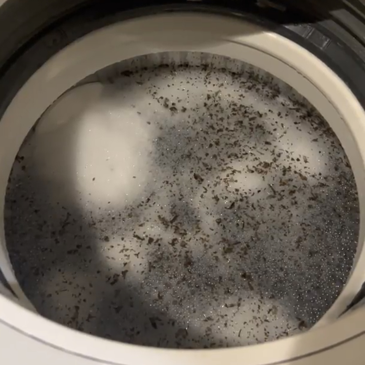  「洗濯槽」のワカメのような黒カビ…。カビの繁殖を予防する３つの方法【梅雨時期に知りたい洗濯術】 