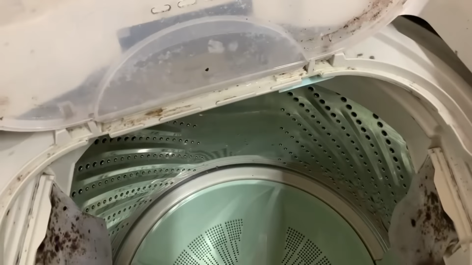 洗濯機の内側のふた