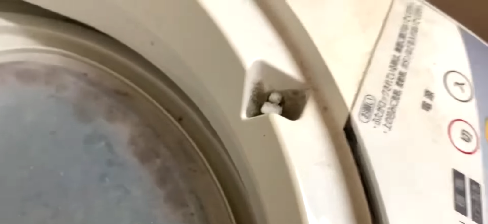 汚れた洗濯機の入り口