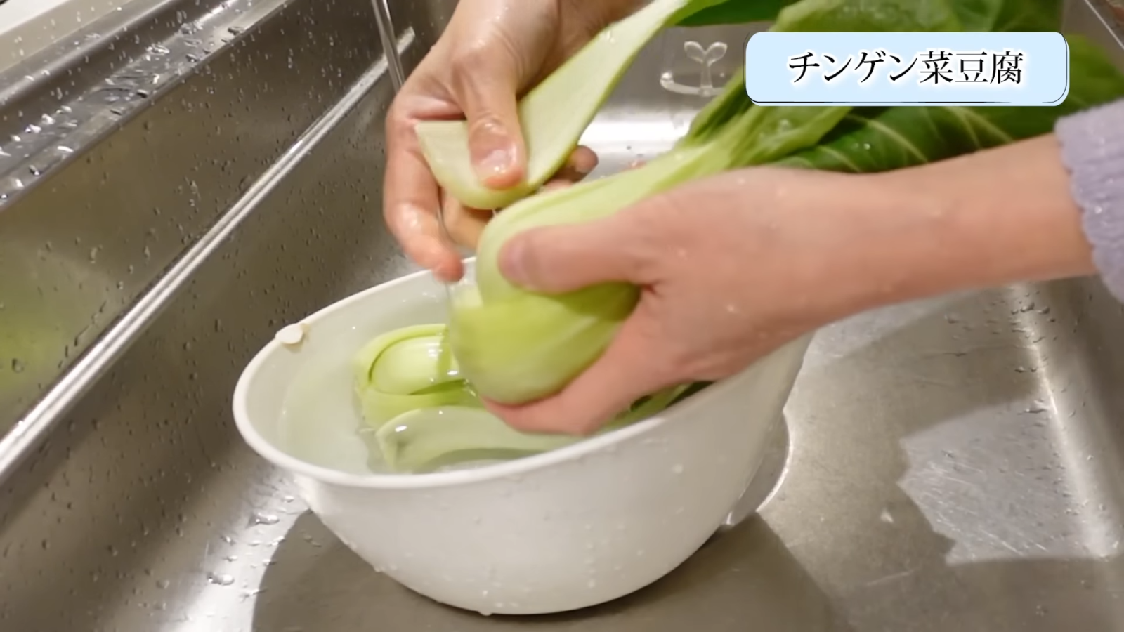 チンゲン菜を洗う女性